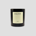 Halcyon Candle